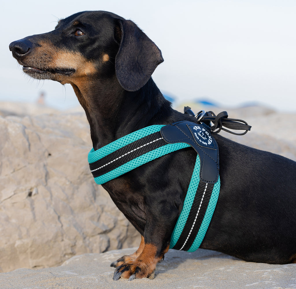 Easy Fit Liberta Mint Mesh Harness with No Escape Adjustable Closure