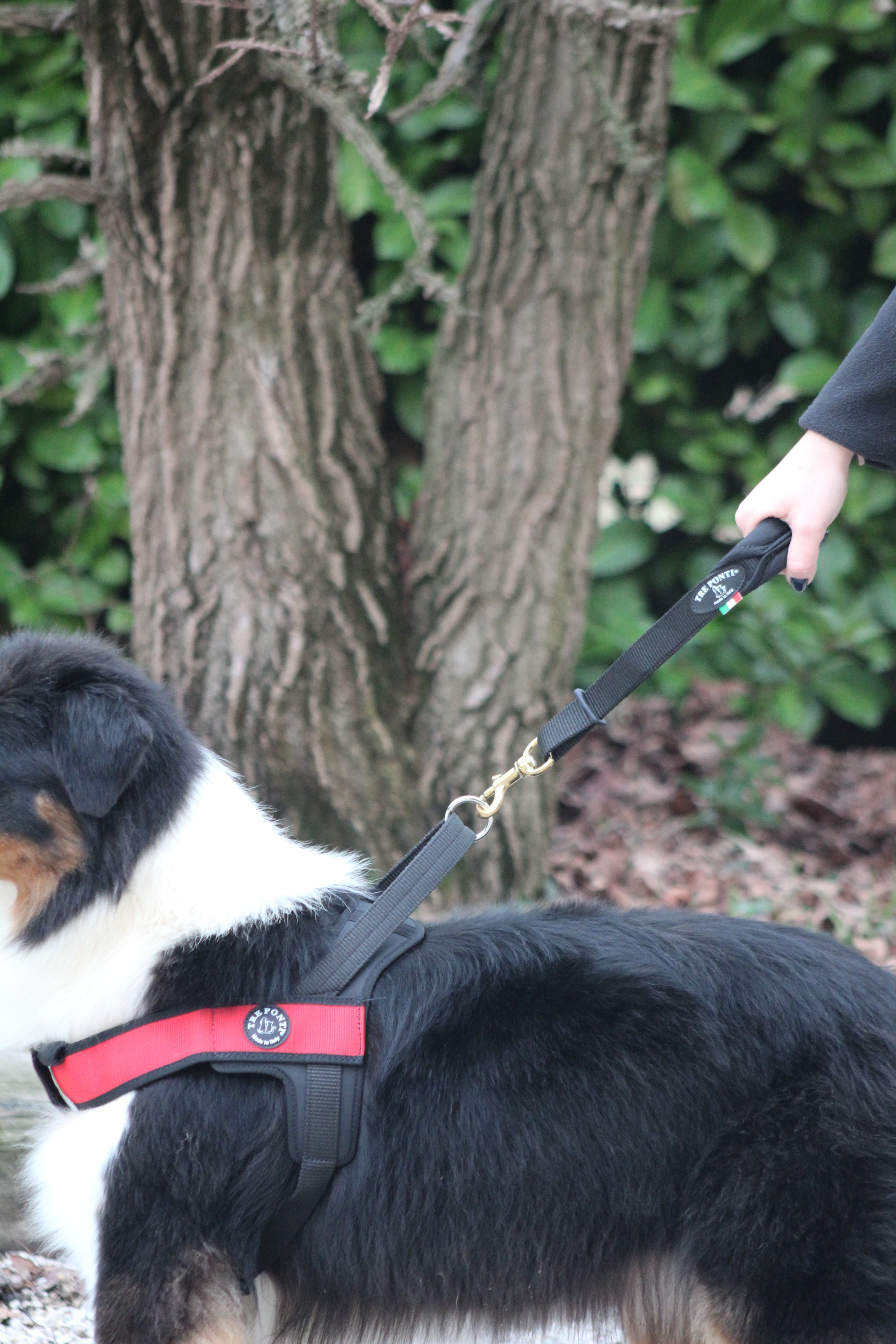 Tre Ponti Close Control Lead 35cm Euro Camo