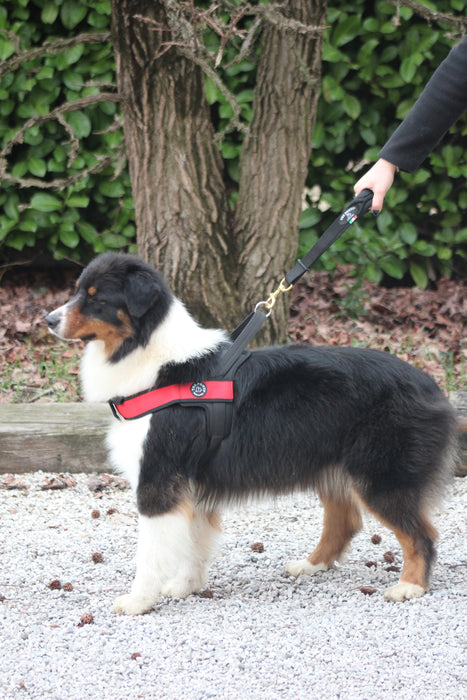 Tre Ponti Close Control Lead 35cm Black