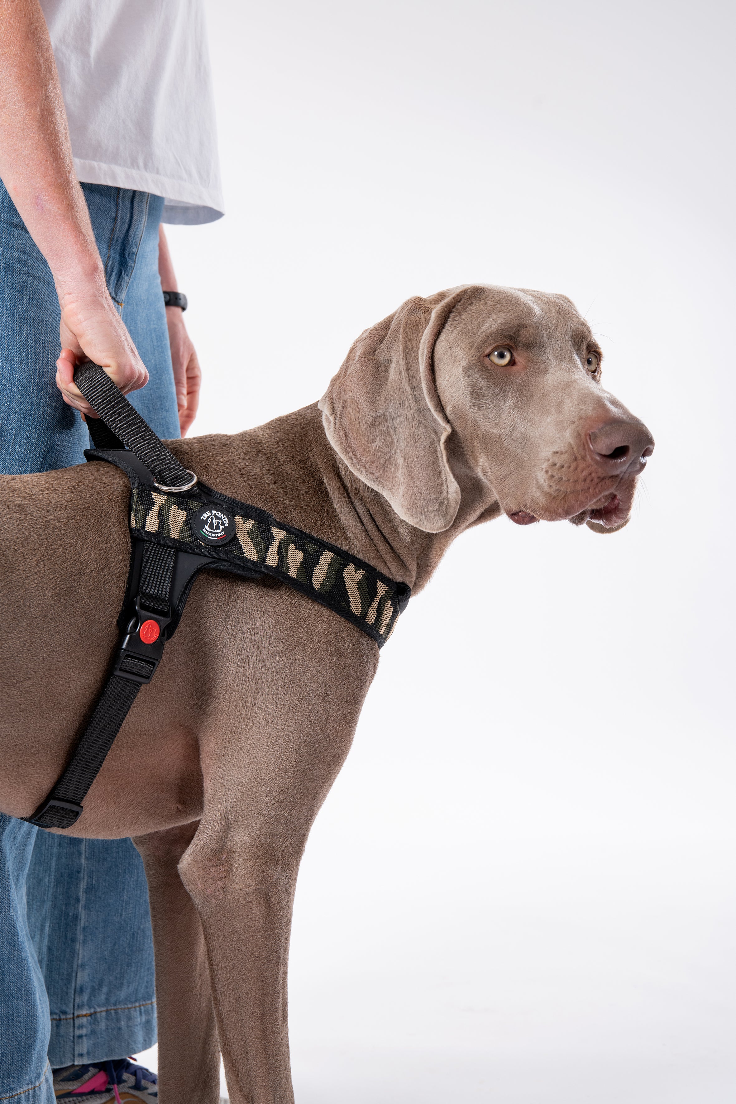 Primo Plus Onyx Euro Camo Harness with Handle
