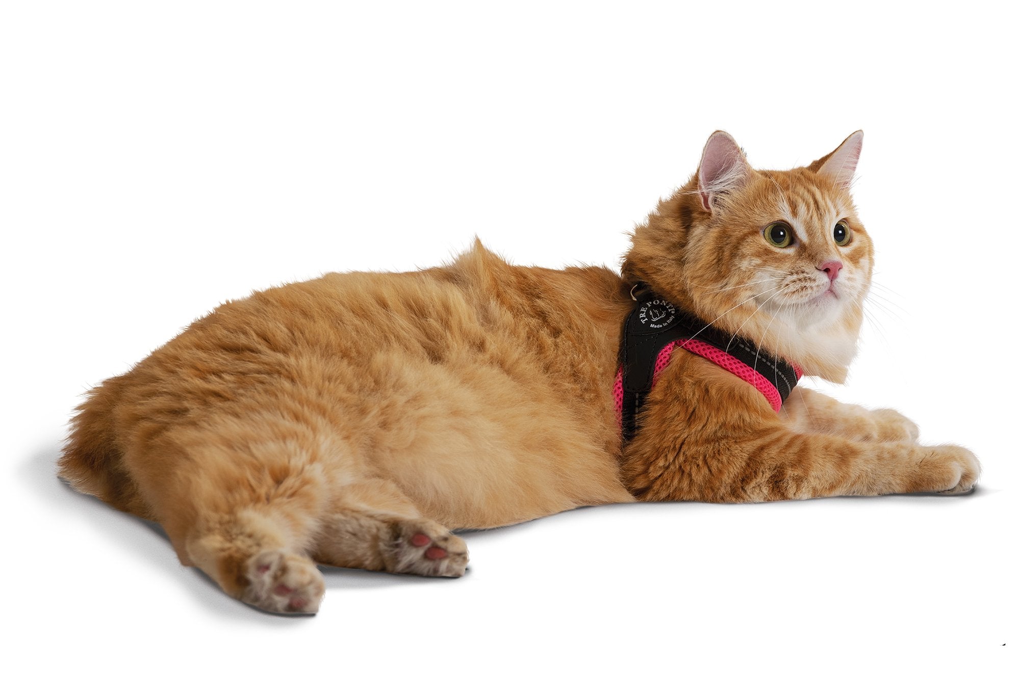 Easy Fit Mesh Fluo Pink Harness with Adjustable Girth