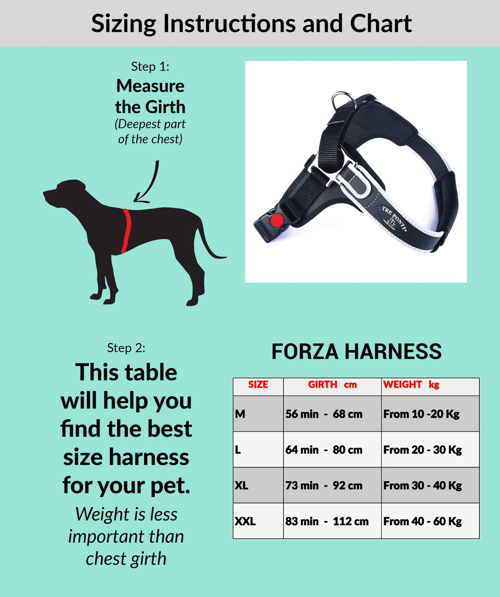 Forza Anti-Pull Black Harness